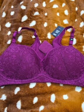 torrid Push Up Wire Free Plunge Padded 44b Bra Nwt